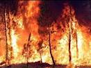 Ordinanza n. 10 del 09.06.2023 ordinanza per la prevenzione degli incendi, caduta alberi e bestiame interferenti lungo la linea ferroviaria   anno 2023.