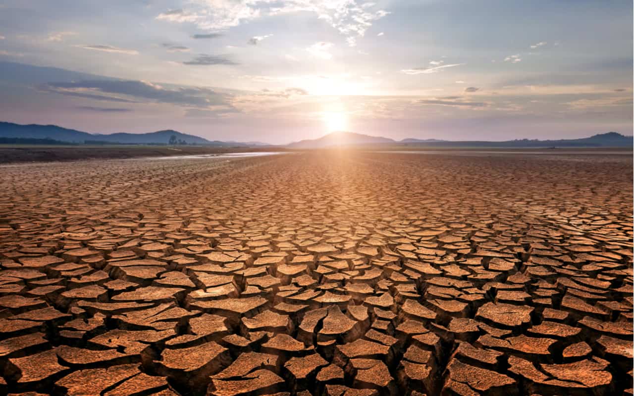 Avviso per la segnalazione dei danni causati al comparto agricolo a seguito dell’evento calamitoso del perdurare della siccità per il periodo novembre 2023 - 30 giugno 2024