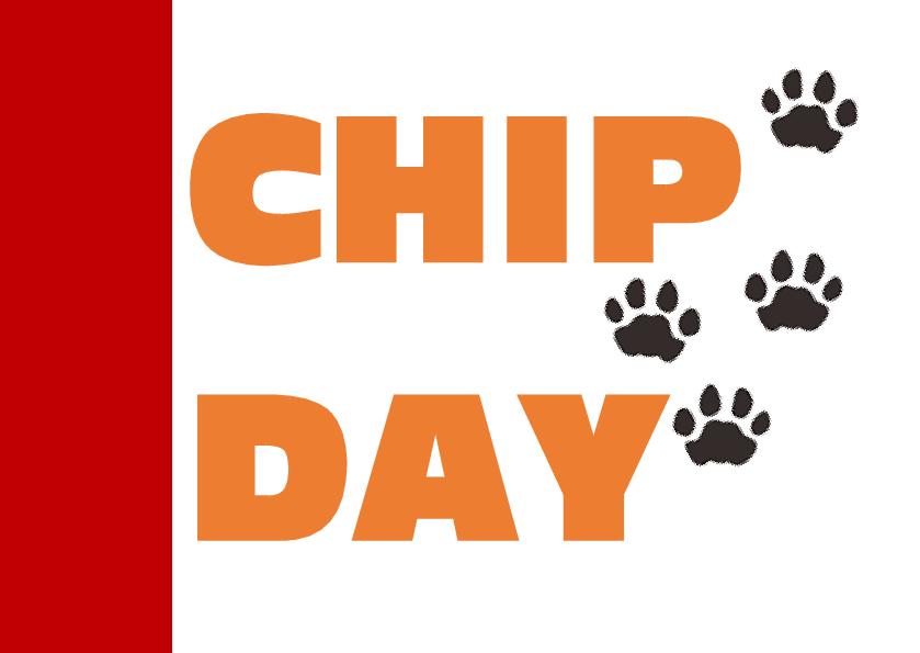 Chip Day: Lunedì 15 luglio – h 17:00 - Giornata per l’applicazione gratuita del microchip e iscrizione Anagrafe Nazionale degli Animali d’Affezione.