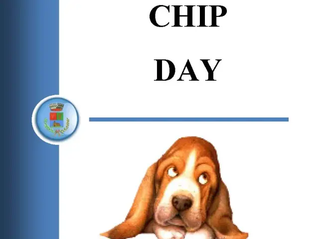 Chip Day: Giornata per l’applicazione gratuita del microchip e iscrizione Anagrafe Nazionale degli Animali d’Affezione.