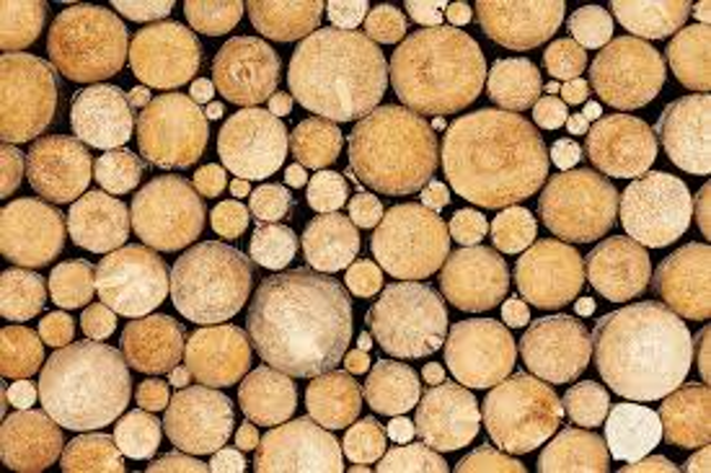 Avviso pubblico per la vendita legname di risulta alla popolazione residente – proroga al 10/06/2023