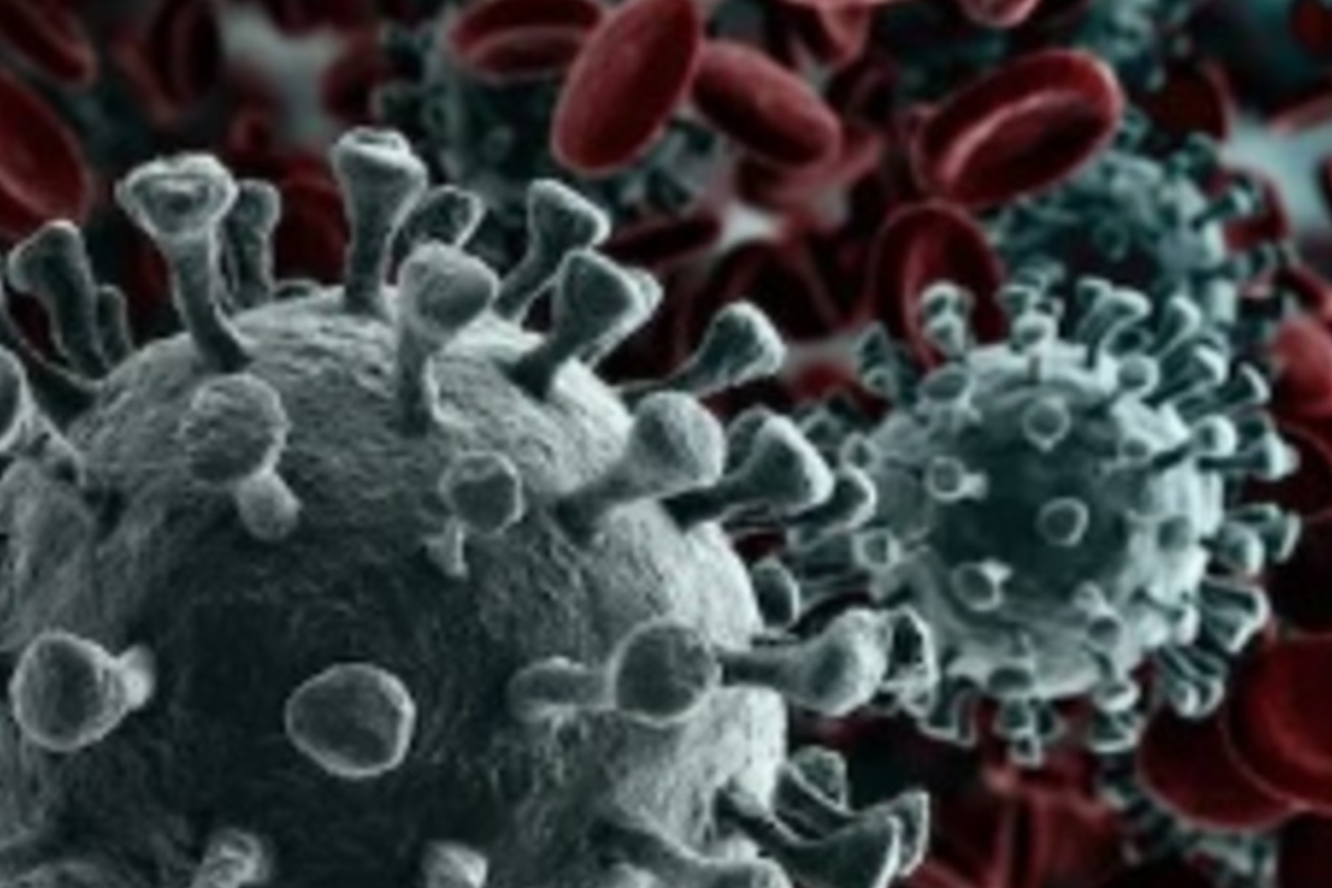 Prevenzione Covid 19 Nuovo Modello Autodichiarazione Aggiornato Al 26 03 2020 Comune Di Marrubiu