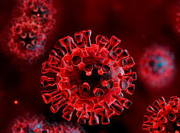 Coronavirus - lettera  ai cittadini
