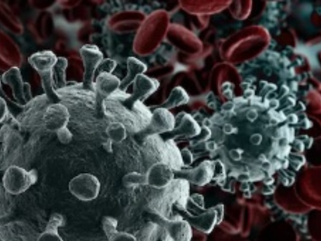 Avviso alla cittadinanza – Misure urgenti di organizzazione del Comune di Marrubiu conseguenti all’emergenza epidemiologica da Covid-19 – Modalità per contattare gli uffici.