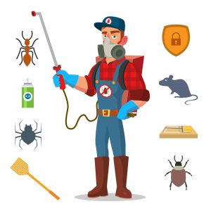 Disinfestazione in Loc. Zuradili